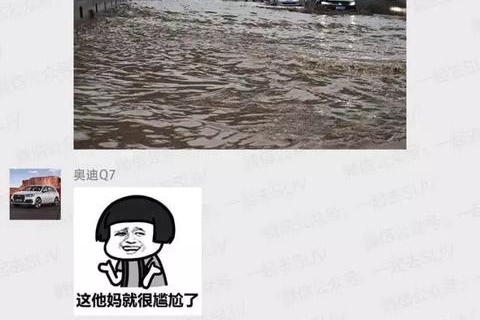 涉水深度900mm！论越野能力，市面上大部分SUV都不是TA的对手！