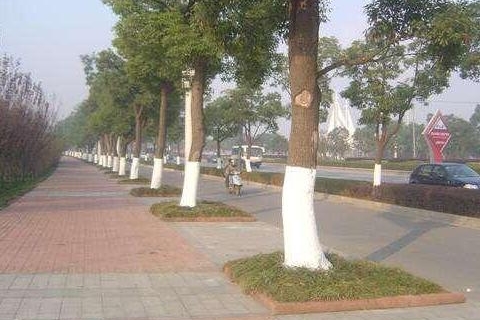 不要没事就踩刹车！老司机传授10个开车小技巧