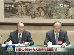 刘云山参加十九大云南代表团讨论