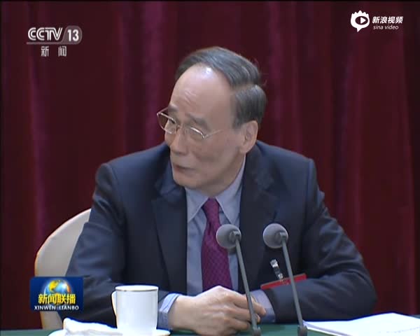 王岐山参加党的十九大湖南省代表团讨论