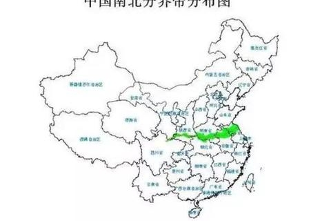 北方人跟南方人买车到底有什么不同？数据说话！