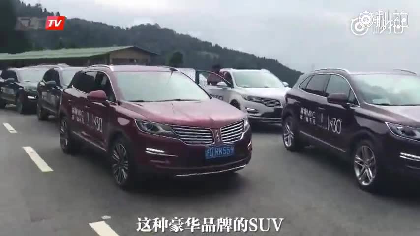 开着SUV探秘大熊猫基地 原来国宝喜欢这个姿势