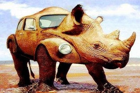 鹰眼鲨唇，你的座驾仿生了吗？