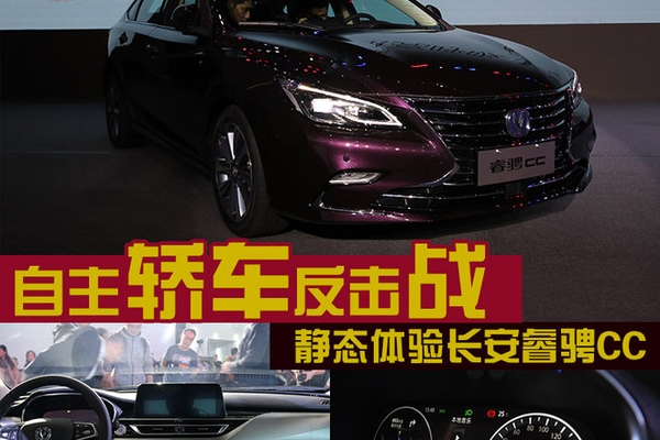 自主轿车反击战 静态体验长安睿骋CC
