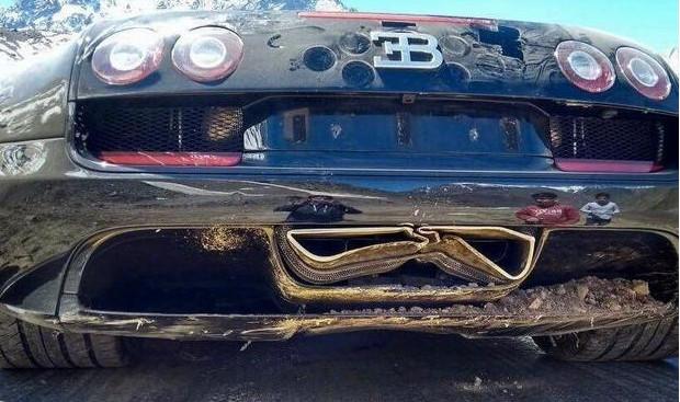 布加迪兴冲冲溜进山区逛了一圈,可因为一件蠢事,100万没了