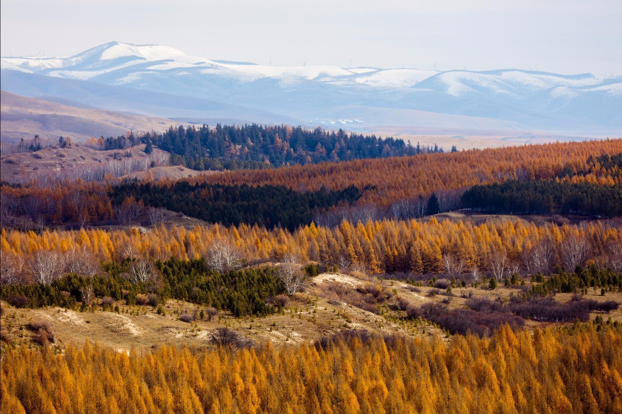 自主品牌跨界新生-试吉利S1