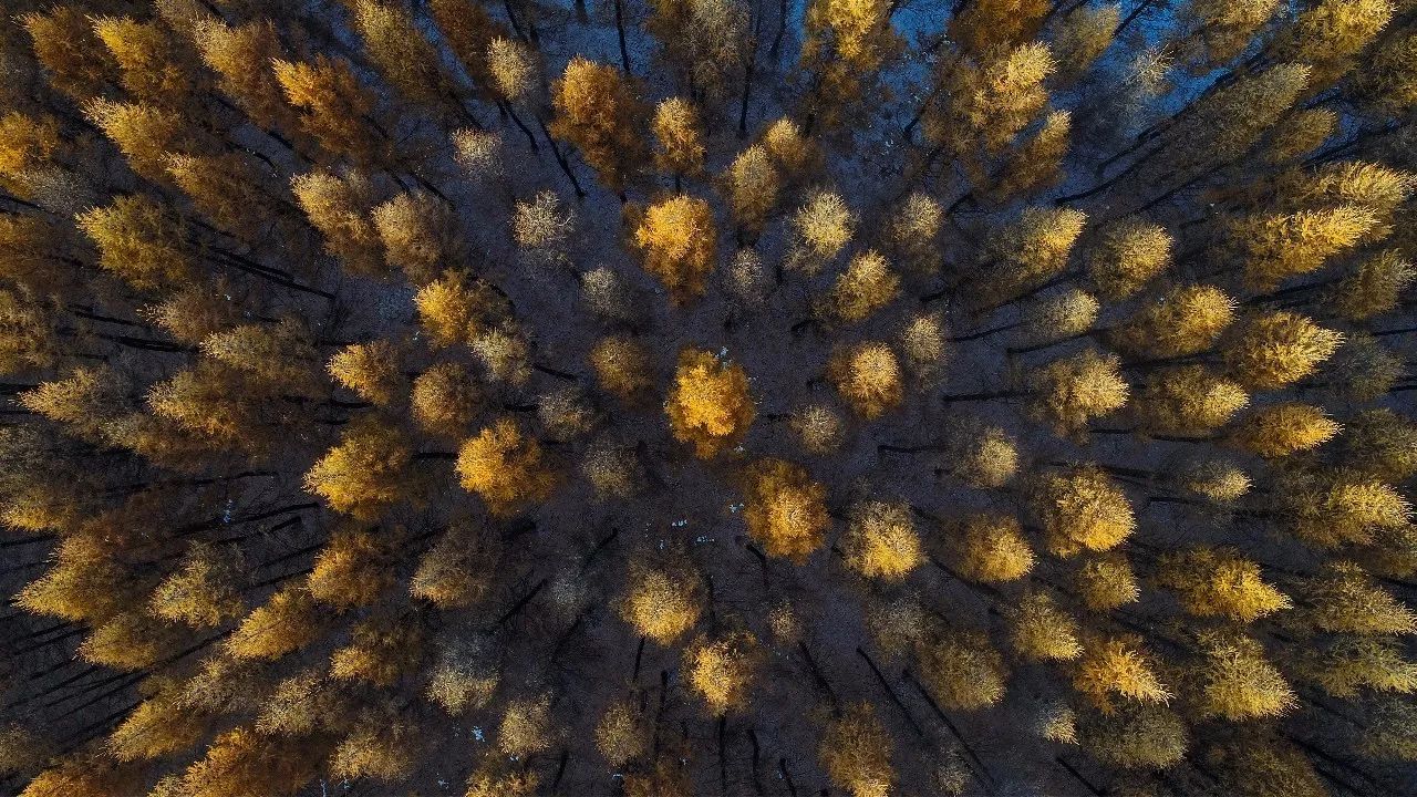 自主品牌跨界新生-试吉利S1