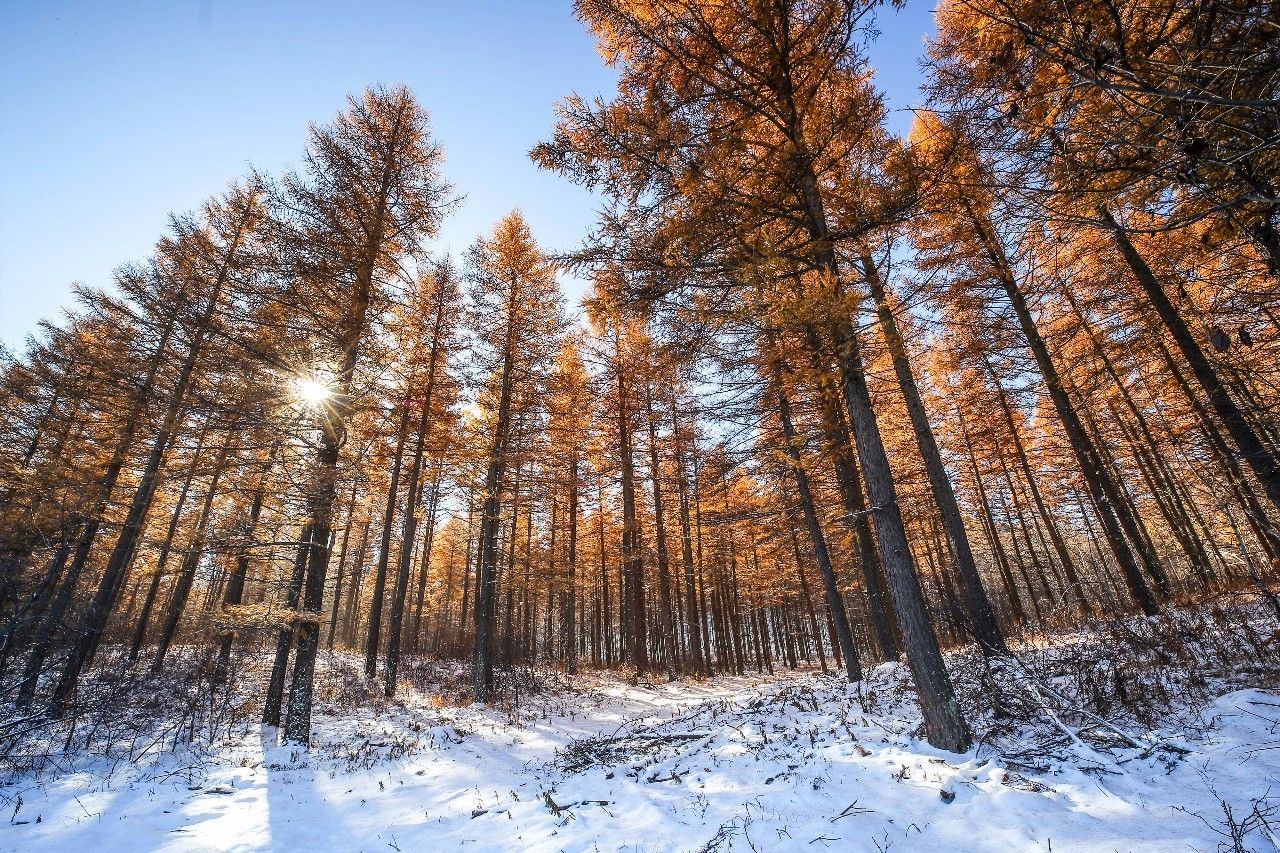 自主品牌跨界新生-试吉利S1