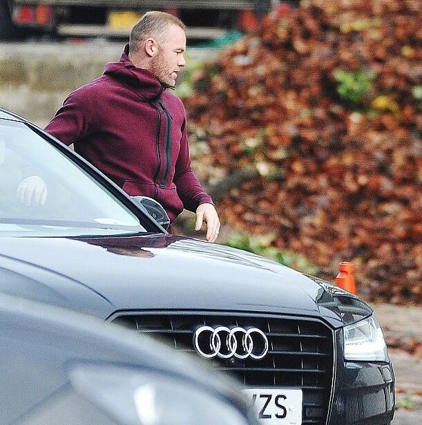 湖人vs开拓者视频-乐鱼app(leyu)官方网站-乐鱼官网