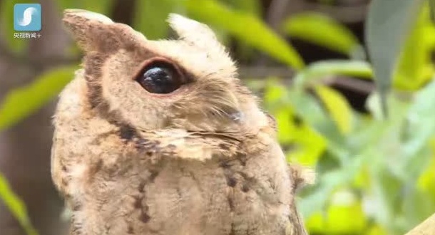 路边捡到信用卡还附密码 天上掉馅饼了?