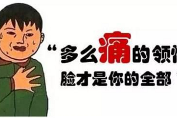 “洞察”永不过时，睿骋CC树立中国B级车新标杆