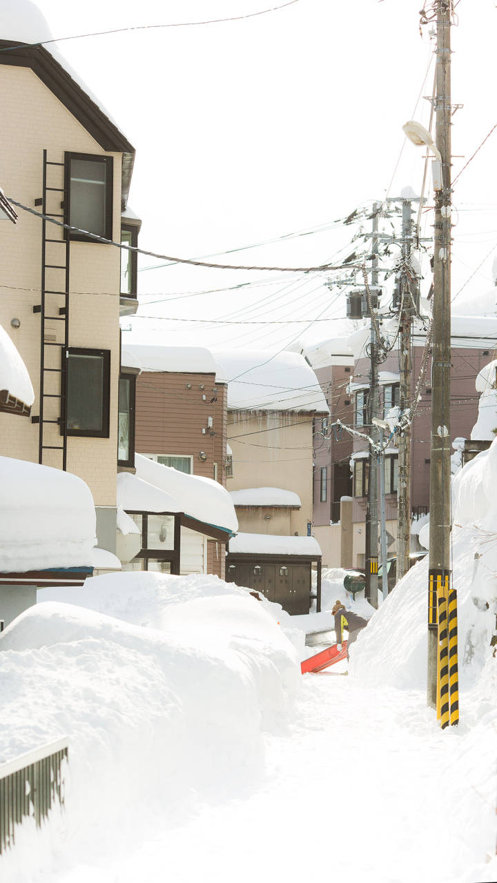 北海道的雪，好像来自二次元