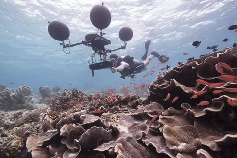 摄制组监测珊瑚礁白化 图/BBC