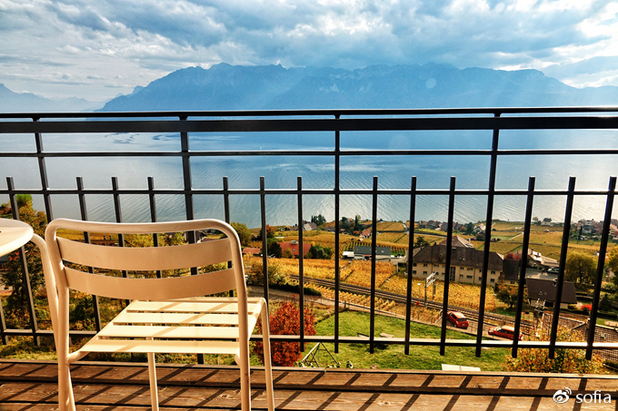 日内瓦湖畔的金色梯田，瑞士最“醉人”的秋色