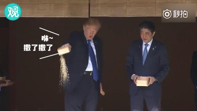 特朗普坊日 与日本首相安倍晋三一起喂鱼