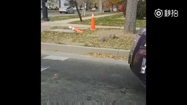 福妹八一八国外网友在路上偶遇一辆喷漆骚气的改装车，本来以为车主是个年轻小...