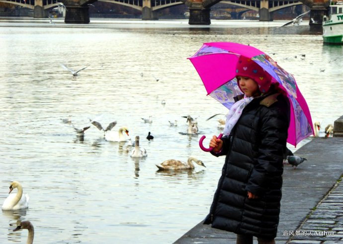 【<a href='http://travel.sina.com.cn/bulage-lvyou/?from=b-keyword' target='_blank'>布拉格</a>影集3】伏尔塔瓦河的浪漫冬景