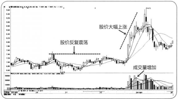 股民老张_职业股民收入