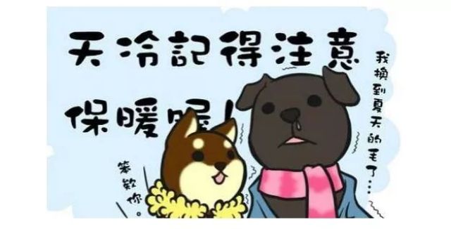 冷空气驾到!肇庆一次性入冬成功.