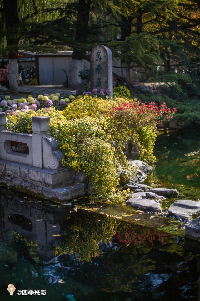 闺蜜两日游丨从泉到山 <wbr>大济南的小而美