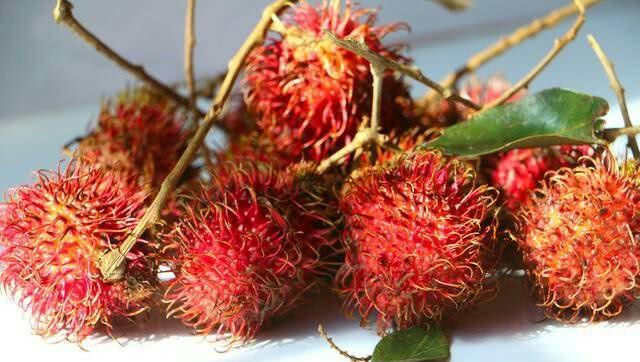 6种长刺水果,难吃的有3种,还有一串一串迷你板