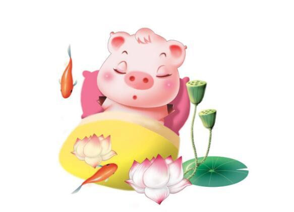 进入2018年,不同年份出生的属猪人运势竟差别如此大!