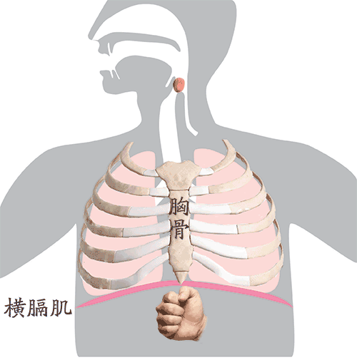 家长必学,食物卡喉黄金5分钟救命法