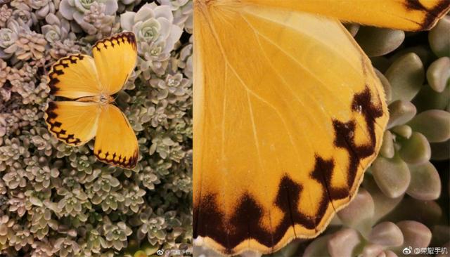 2018荣耀完美收官 V20斩获天猫手机单品销量