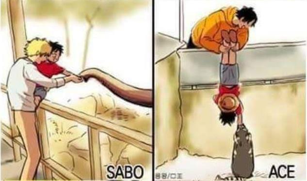 海贼王萨博和艾斯不同宠弟方式 毫无疑问 右边才是亲