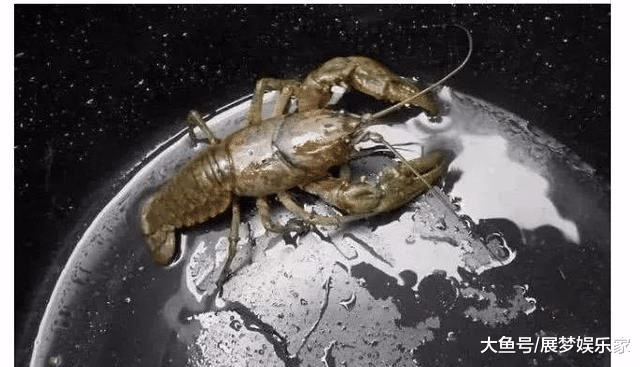 挑战你的眼力! 9张神奇的视觉错觉图! 很多人第一眼都看错了