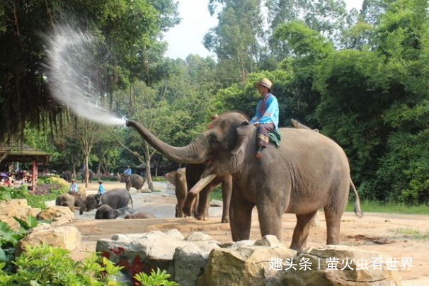 泰国人眼中韩国游客小气,日本人有素质,而中国