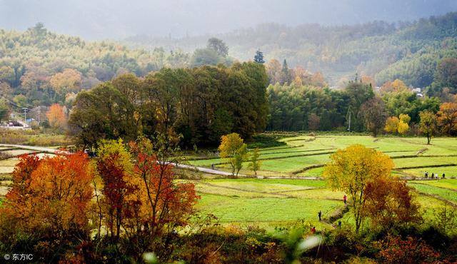 塔川村,带你观赏诗情画意的风景,以及体验独特的民情风俗