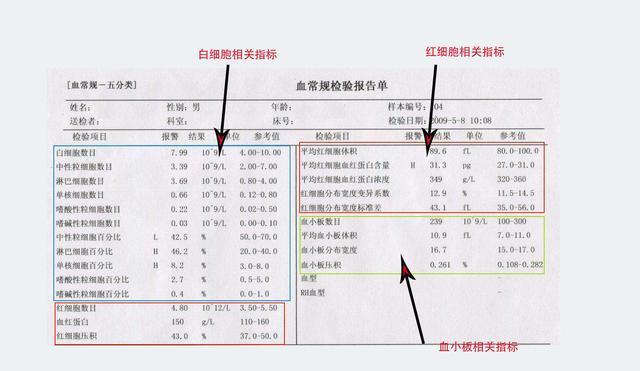 家长注意!宝宝的验血报告这么重要,这3个指标