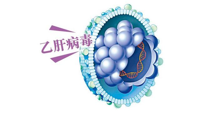 乙肝病毒转阴后是不是可以停药或少吃呢