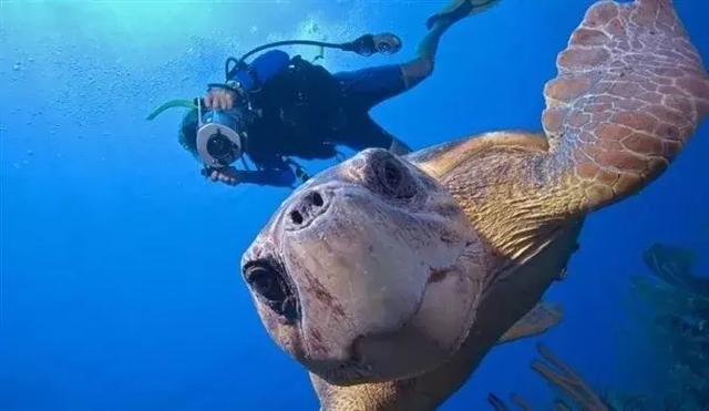 三亚，北纬18℃的蔚蓝，总能将冬天过成夏天！