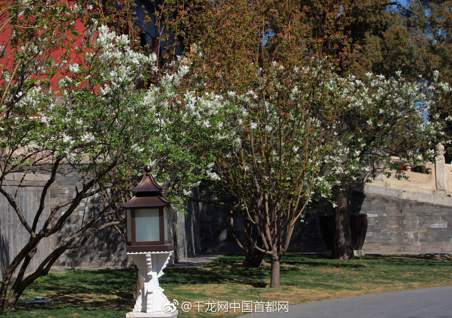 星匯巔峰，贏家首選：Starwin77 帶你領略極致娛樂的神級殿堂 