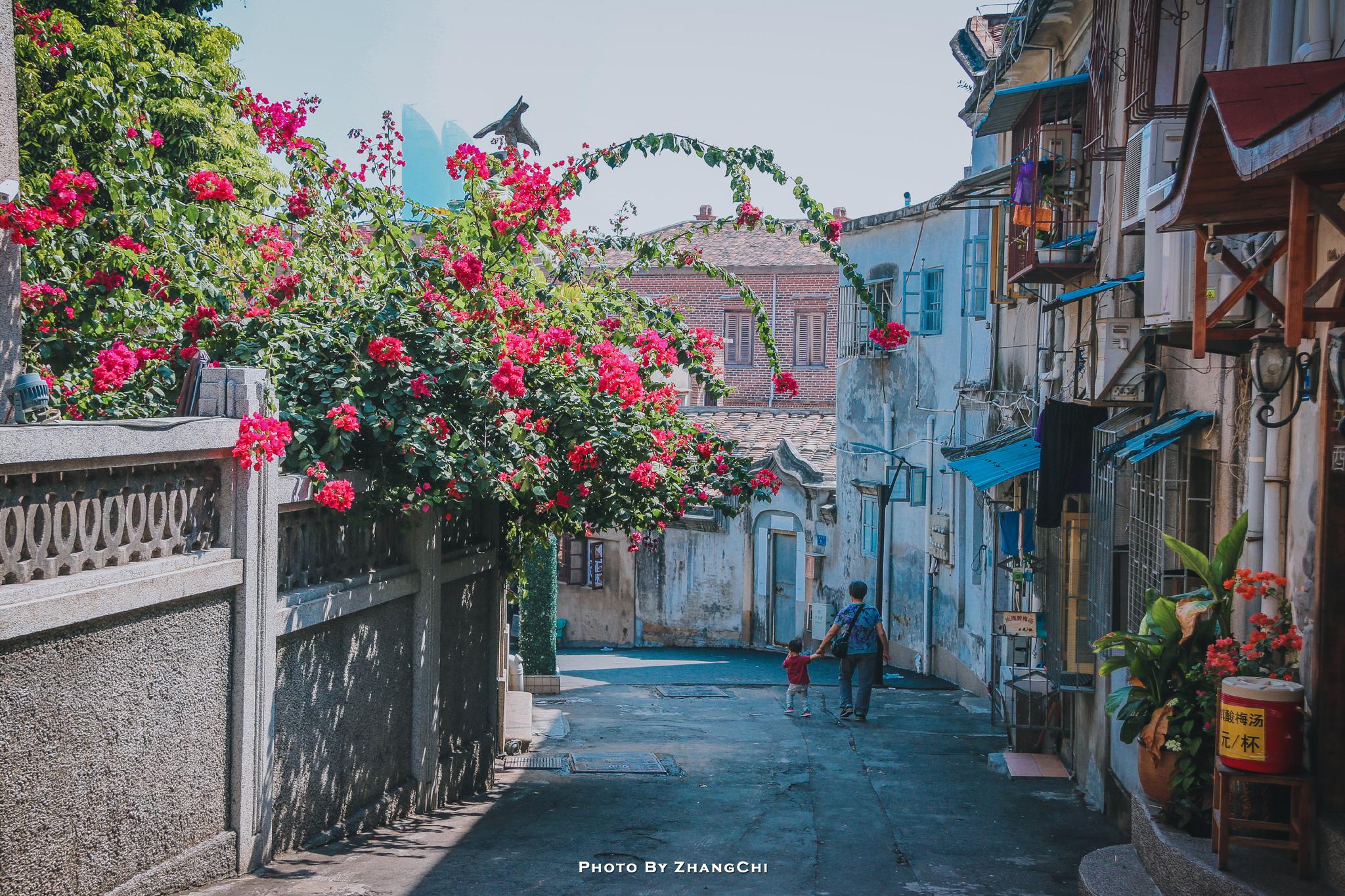 鼓浪嶼不是很大 花香撲滿條條小徑