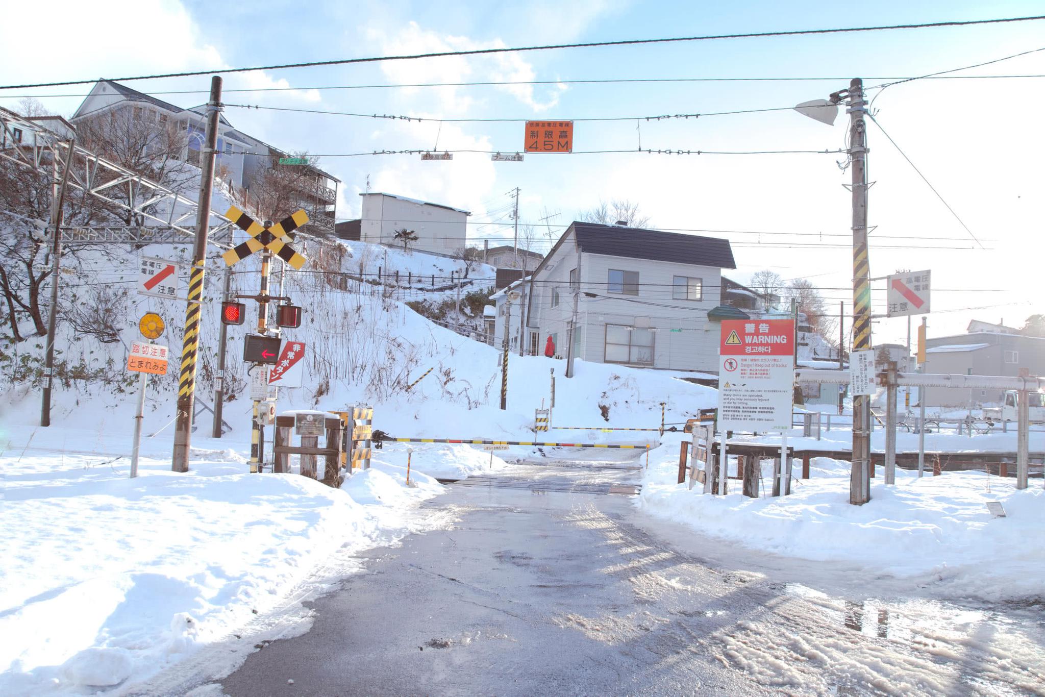 日本北海道下雪啦!听说穷人才来北海道,富人都去东北雪乡?