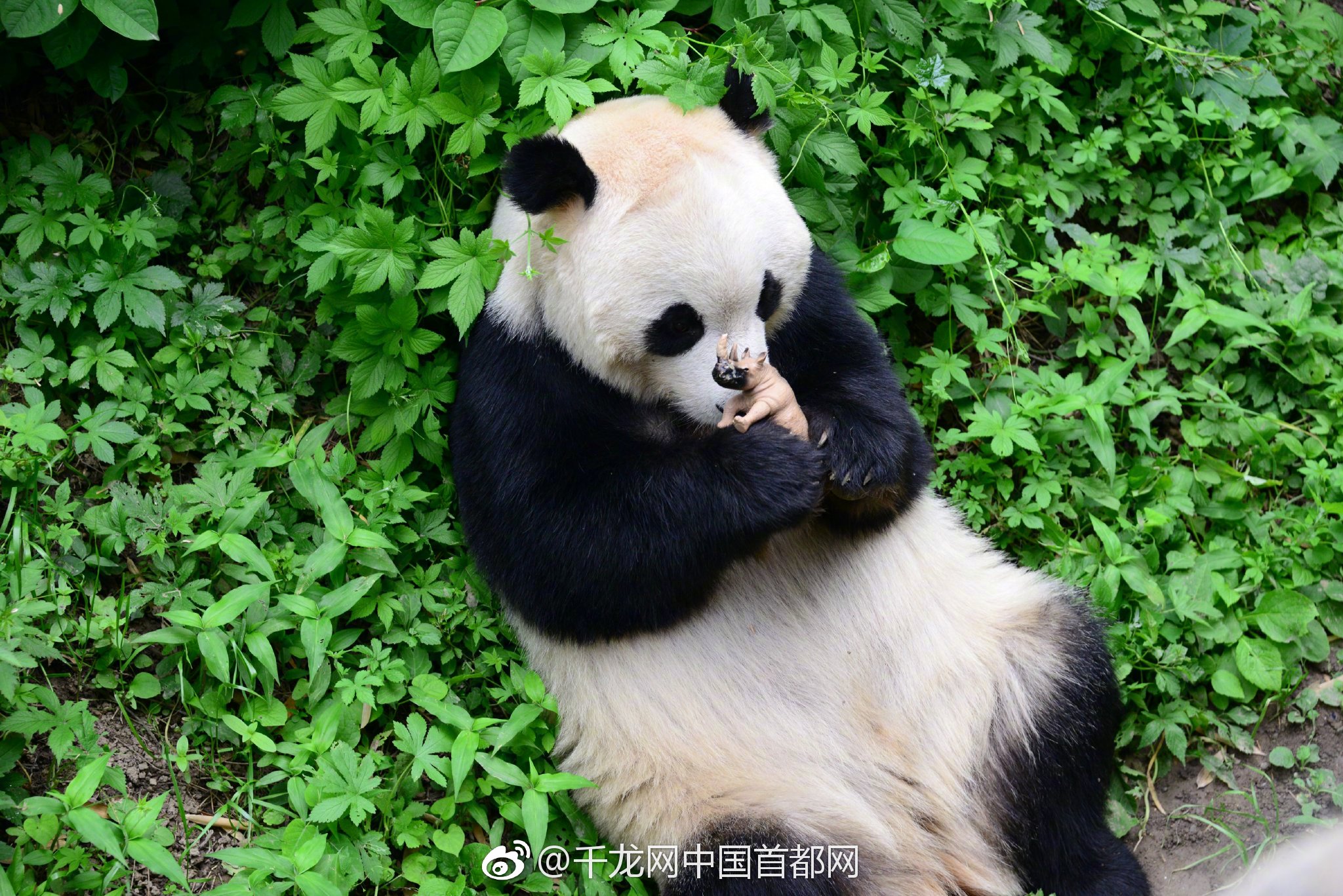 马鞍山：乡村春晚真精彩