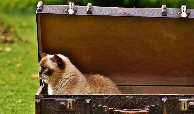 耀5扬威,盛世菲纹,五周年盛典,就要降临中国 • 三亚!