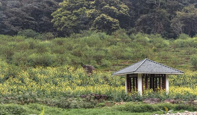 Ϊʲô˵������˫����һ���ܡ�ԭʼ���ĳ�����