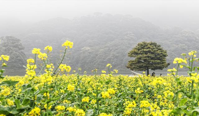 Ϊʲô˵������˫����һ���ܡ�ԭʼ���ĳ�����