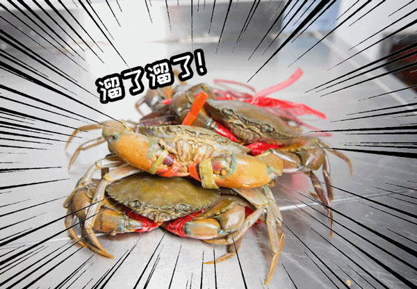 排队神店胖哥俩空降莆田!至今找不到对手!!