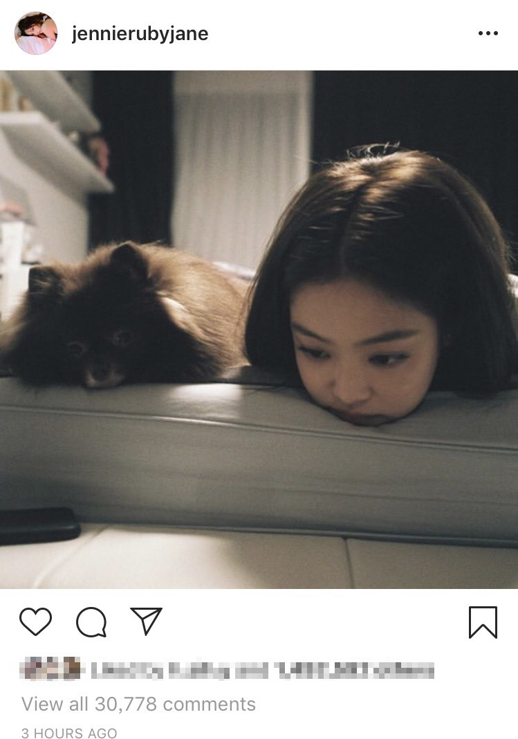 jennie分手后6天ig首发!"同框爱犬kuma"零表情