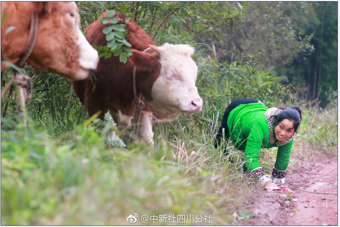 雷电将军与八重神子，拔萝卜的奇幻之旅