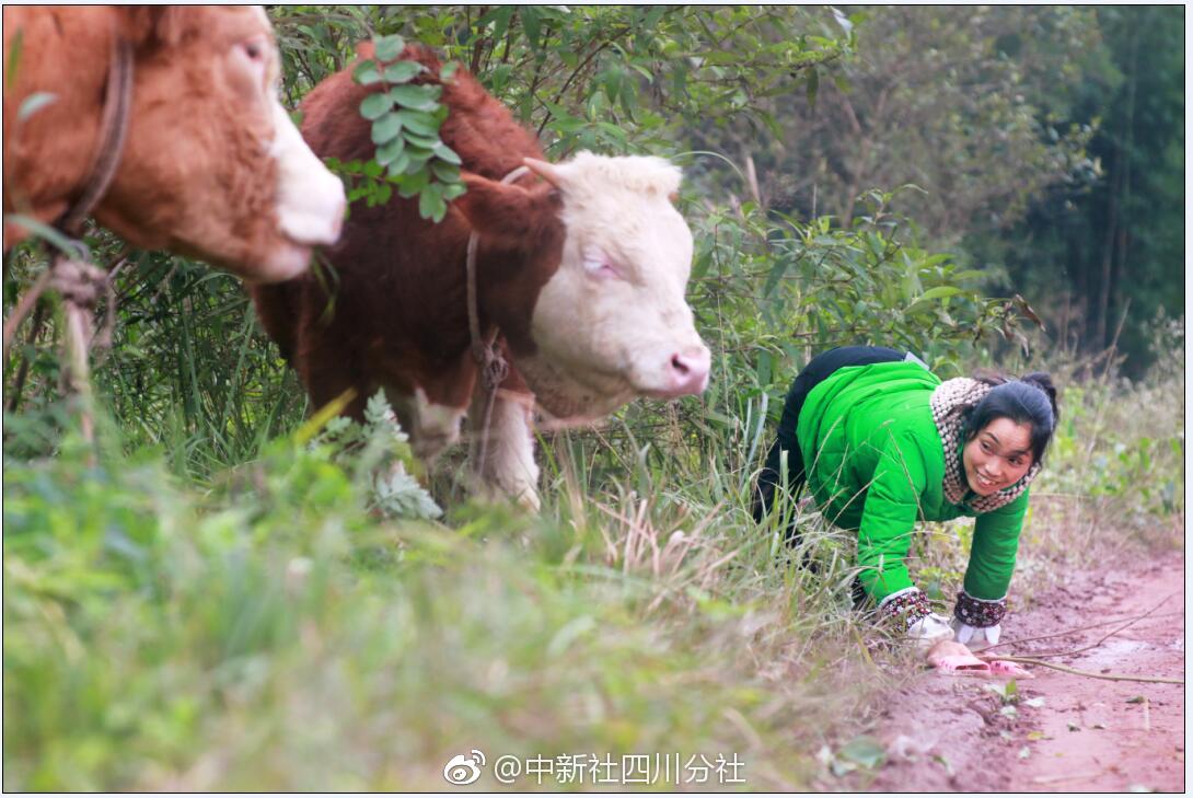 高僧圆瑛法师罕见旧照