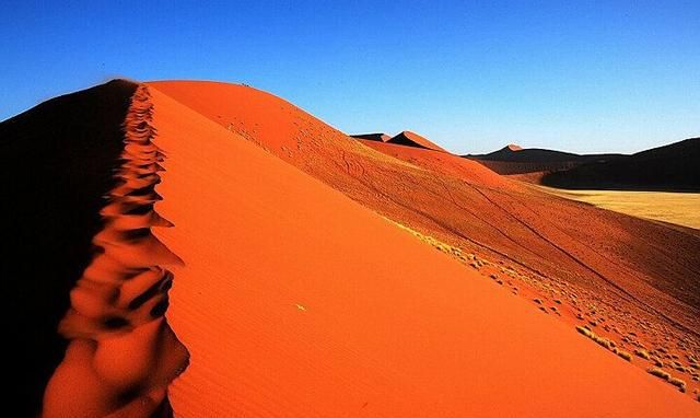 景色瑰丽、物种多样的纳米布沙漠，绝对不只有单调乏味的沙