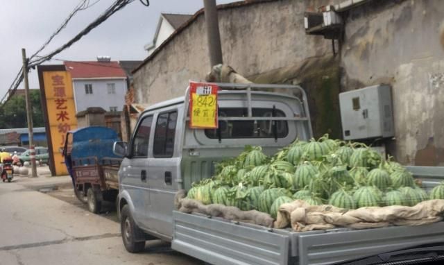 想买一辆小货车下乡去农村卖水果,蔬菜,怎么样?