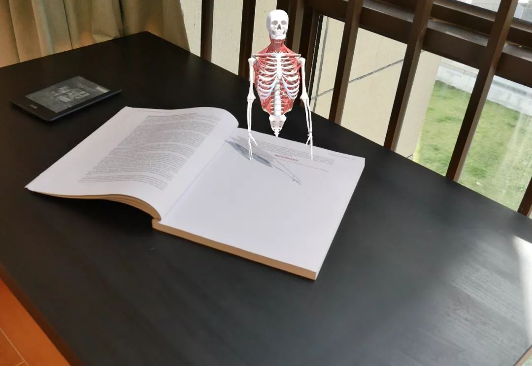 运动解剖APP-健身，运动解剖学与动作技巧详解