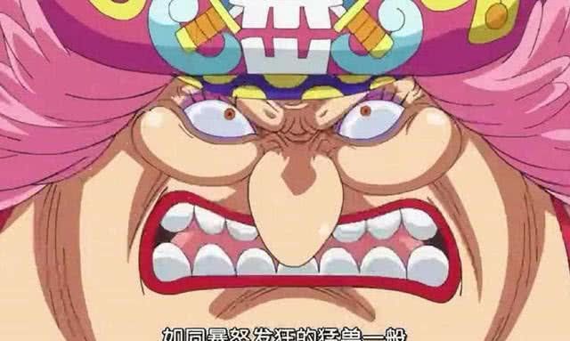 跟了四皇大妈几十年的宙斯,为何那么容易被娜美收服?原因很现实